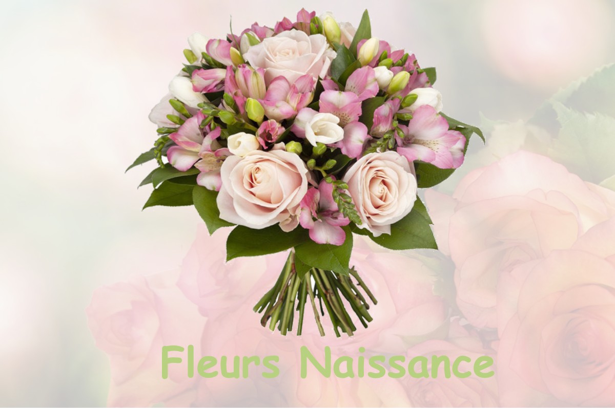 fleurs naissance SAINT-ETIENNE-DE-FURSAC